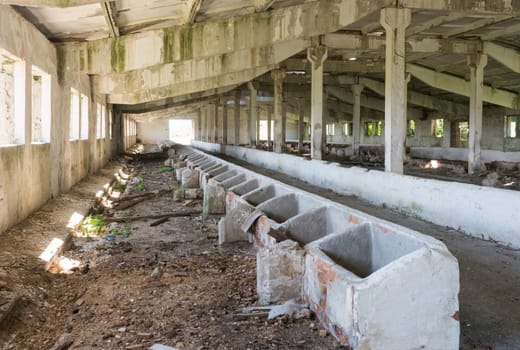 Old abandoned barn, inside view of the building