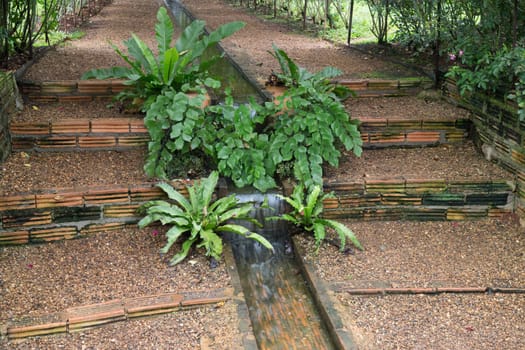 Walkway in botanic rose garden, stock photo