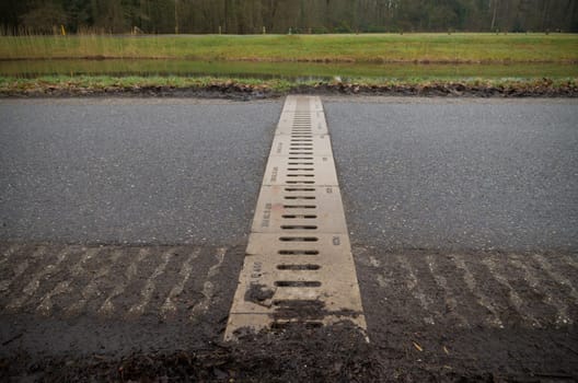 road underpass for toads
