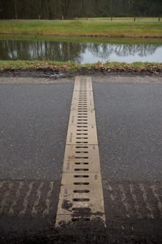 road underpass for toads