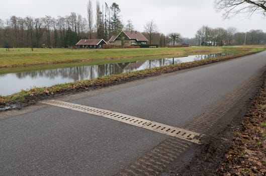 road underpass for toads