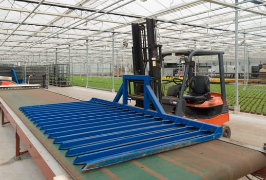 forklift truck for transplanting plants in a commercial greenhouse in the netherlands