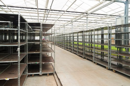 empty crates in a commercial greenhouse in the netherlands