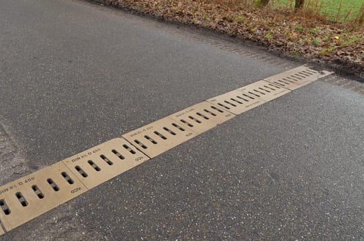road underpass for toads