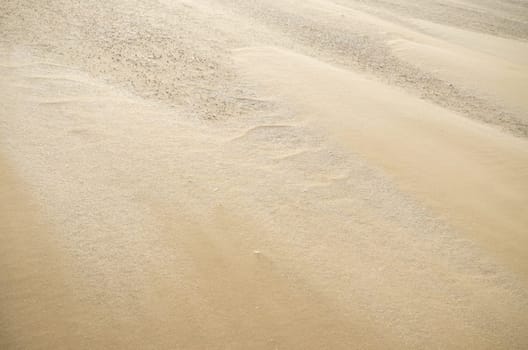 background of sand on a windy north sea beach