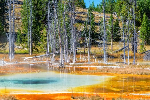 Blue and red pool as seen in the Upper Geyser Basin in Yellowstone National Park