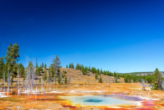 Landscape of a colorful pool in the Upper Geyser Basin in Yellowstone National Park