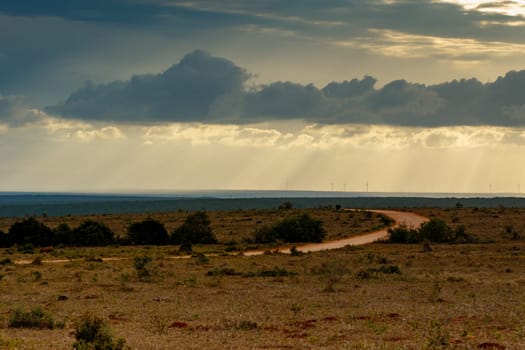 Dirt road leading to the cloudy skies with sun rays.