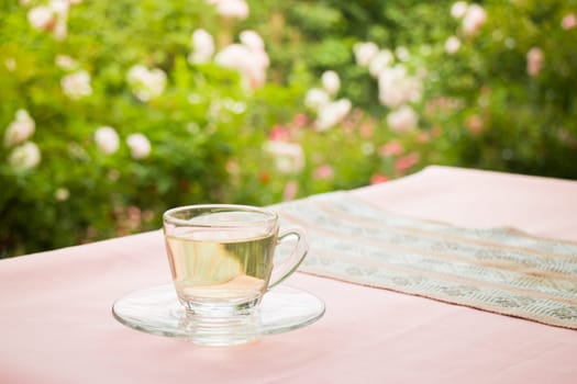 Tea time in the garden, stock photo