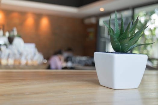 Mini plant pot on wooden table, stock photo