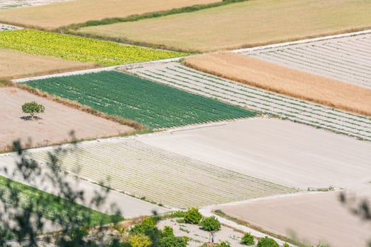 Landscape panorama with smaller fields,mountains and trees in the interior of Mallorca,Spain.