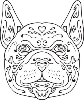 Mandala style illustration of a french bulldog head viewed from front set on isolated white background.