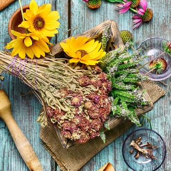 set of collected herbs and flowers for medicinal purposes