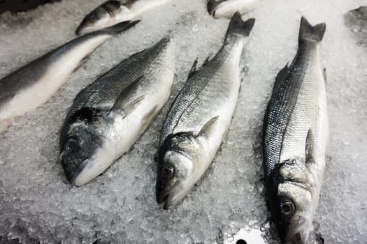 fresh fish on ice