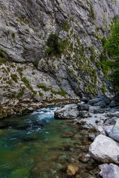 mountain river. Nature composition.  landscape with mountains trees and a river