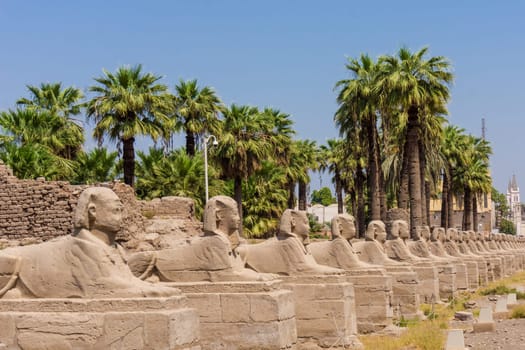 Egyptian sphinxes