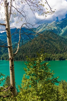 Beautiful landscape with lake, forest and mountains