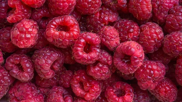 Fresh raspberries background