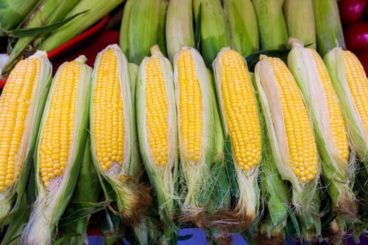 Fresh organic corn. Sweet Corn pile. Corn for sale at farmers market