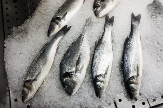 fresh fish on ice