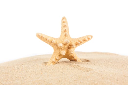 Starfish on the Sand. Vacation concept