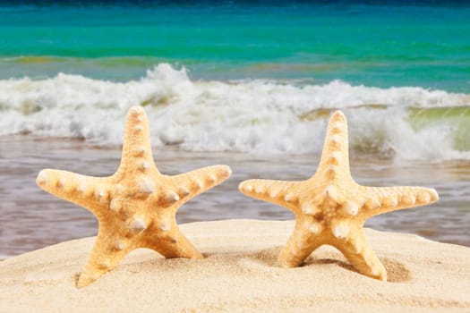 Summer time background. Summer concept