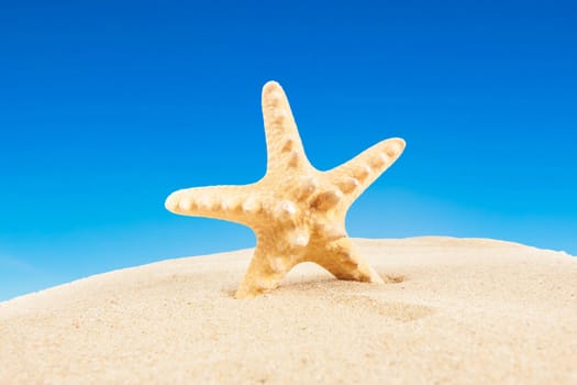 Summer time background. Summer concept