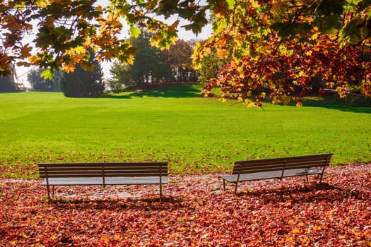 beautiful autumn  in city park. Autumn scene
