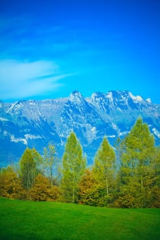 Summer landscape in mountains. mountain panorama