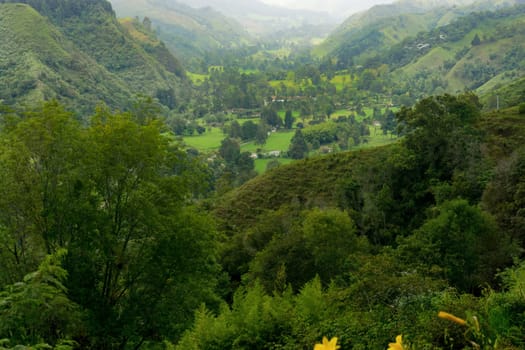 Vibrant green landscape in the Quindio department near Salento, Colombia