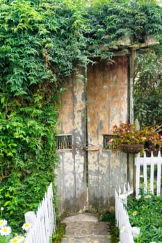 Old rustic door covered in foliage in a garden in Salento, Colombia