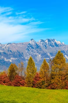 mountain autumn landscape. Colorful autumn landscape.  mountains landscape