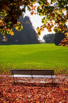 beautiful autumn  in city park. Autumn scene