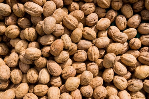 Walnut background