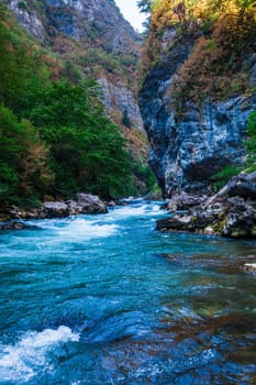 Beautiful view of mountain river in summer. Mountain river in the forest. Abkhazia. Beutiful landscape