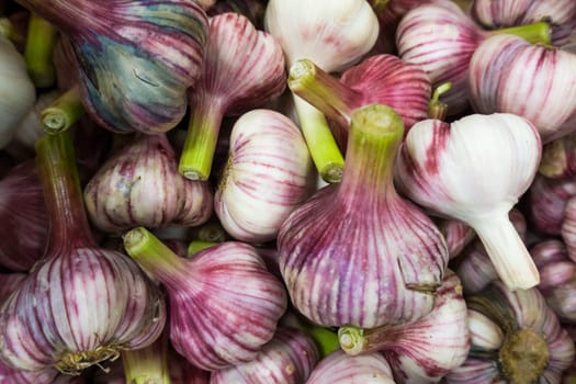 Fresh Garlic.  Garlic pile for background