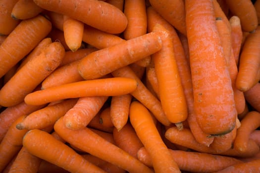 Carrots. Fresh organic carrots. Background texture of carrots.