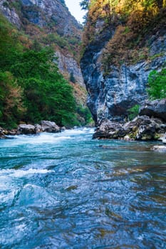 Beautiful view of mountain river in summer. Mountain river in the forest. Abkhazia. Beutiful landscape