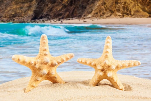 Summer time background. Summer concept