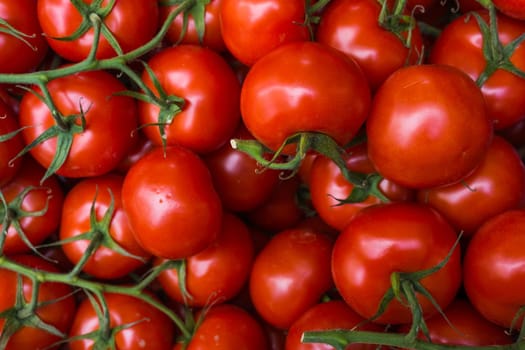 fresh tomatoes. red tomatoes background. Group of tomatoes
