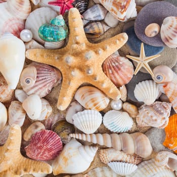 Shells and starfish on sandy beach. Summer background. Summer concept . Starfish with sand as background