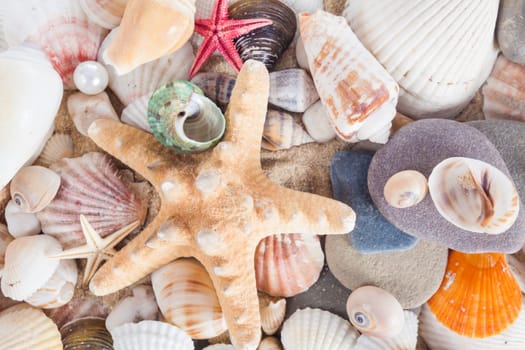 Shells and starfish on sandy beach. Summer background. Summer concept . Starfish with sand as background
