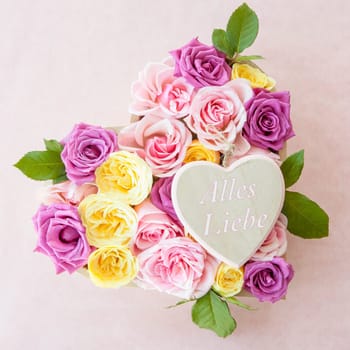 Roses in different colors as a background with text space