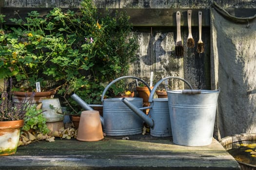 romantic idyllic plant table in the garden with old retro flower pot pots, garden tools and plants. Rustic table with flower pots, potting soil, trowel and plants