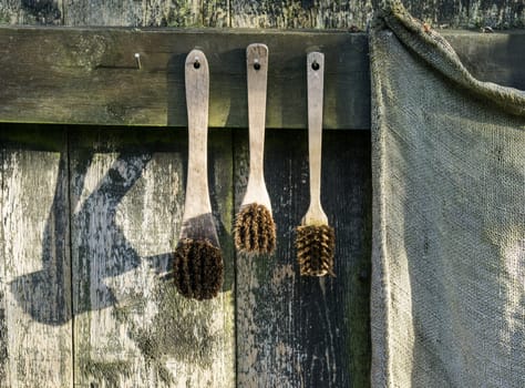 Old retro brushes hang decoratively on wooden wall outside in sun light