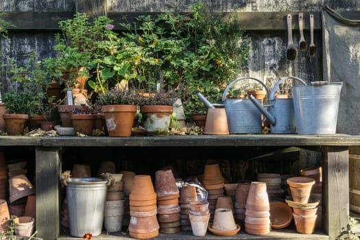 romantic idyllic plant table in the garden with old retro flower pot pots, garden tools and plants. Rustic table with flower pots, potting soil, trowel and plants