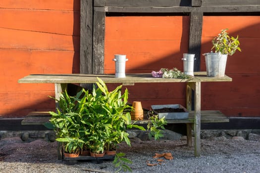 romantic idyllic plant table in the garden with old retro flower pot pots, garden tools and plants. Rustic table with flower pots, potting soil, trowel and plants