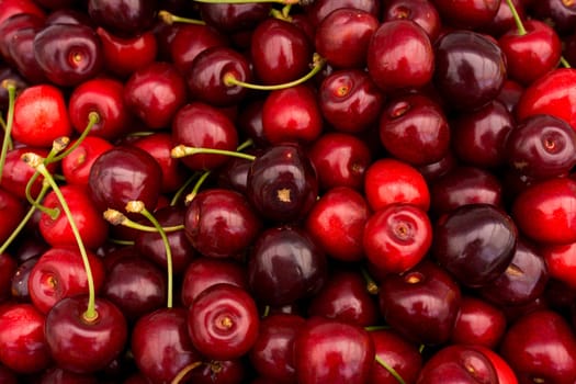 red cherry background.  Red ripe delicious cherries