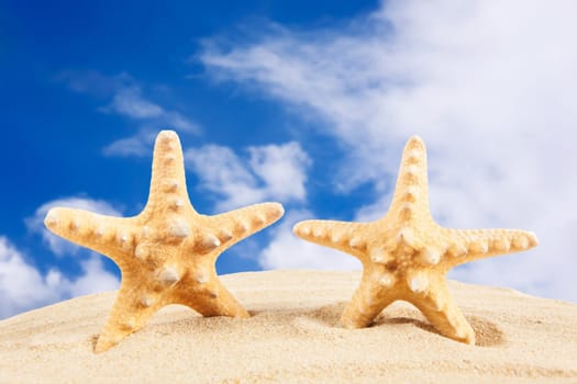 Summer time background. Summer concept
