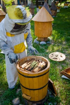 Beekeeper on apiary.  Working apiarist.  Beekeeper holding frame of honeycomb